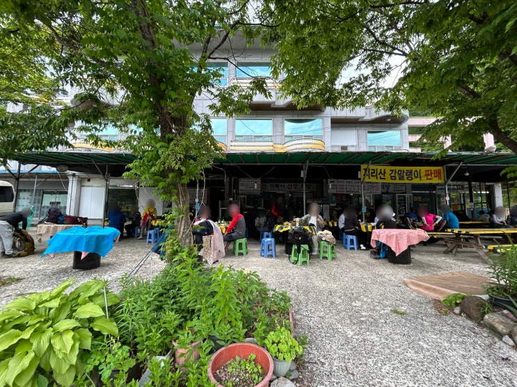  경남 산청 지리산거북이산청식당