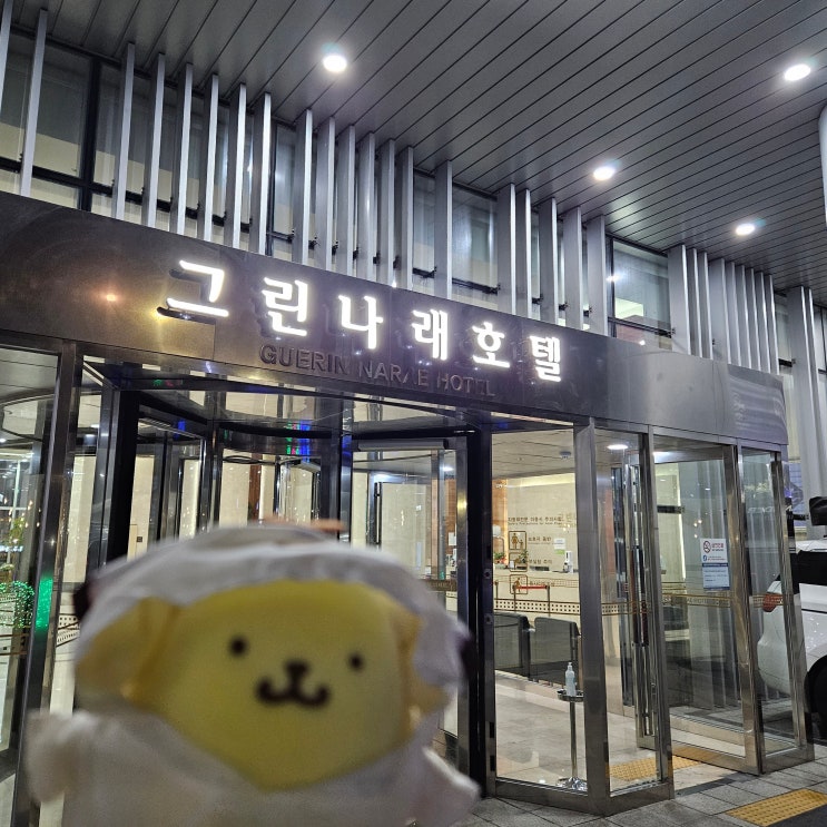 부산여행코스 돌기 1편-해운대 코앞 숙소 그린나래호텔 콘도에 살자 부산여행코스 돌기 1편-해운대 코앞 숙소 그린나래호텔 콘도에 살자