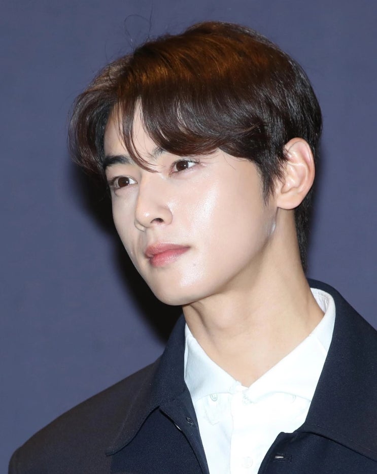 아스트로 차은우, 故 문빈 추모공간 옮긴 날 추모공간을 미리 찾았다 아스트로 차은우, 故 문빈 추모공간 옮긴 날 추모공간을 미리 찾았다