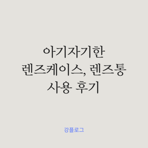  내돈내산 렌즈통 렌즈케이스 추천 리뷰 아기자기한 디자인이 너무 귀엽다