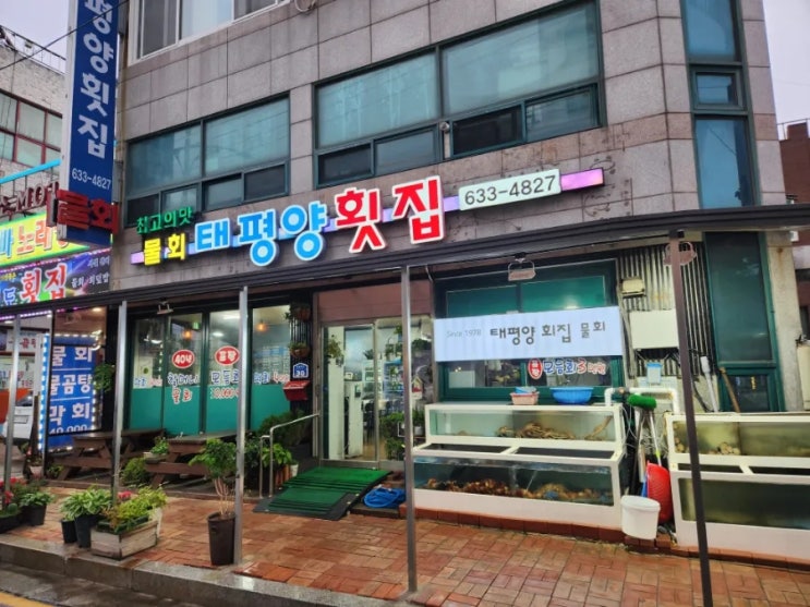  속초 회포장 태평양회집 - 광고아닌 찐 가성비 회포장 맛집!