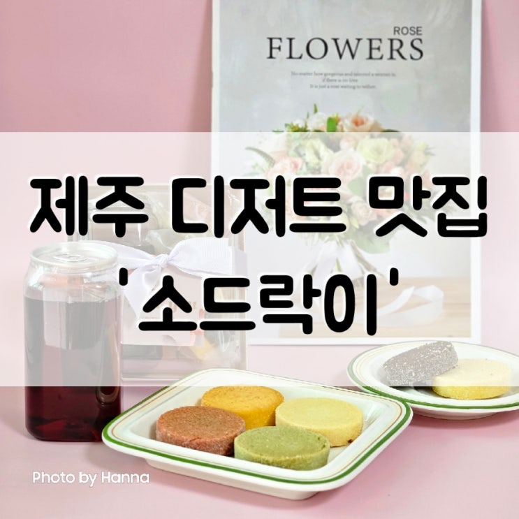  제주 디저트 맛집 '소드락이' 웨딩답례품 쿠키로도 안성맞춤