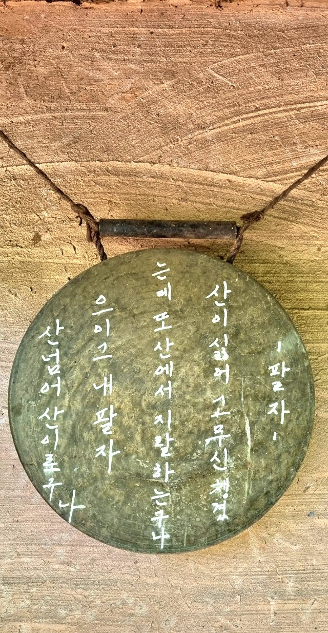  관악산 산림욕장 둘레길, 등산길 산책길 가족나들이 산꽃, 팔자 개양귀비  금계국  팬지  자주달개비꽃 하늘말나리 트리토마 베고니아  노랑창포 끈끈이대나물 개양귀비 다람쥐