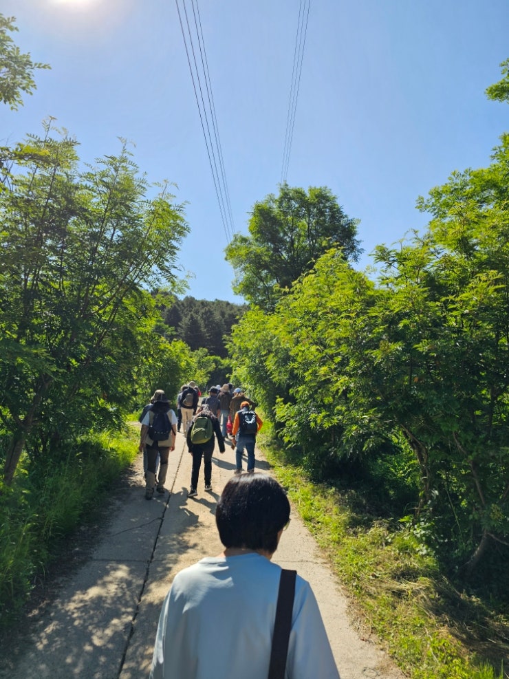 더불어사는 농법으로 다음세대 까지 이어질 18년 외길 철학 산방환담의 조순정 대표의 로컬(촌) 자연체험 현장