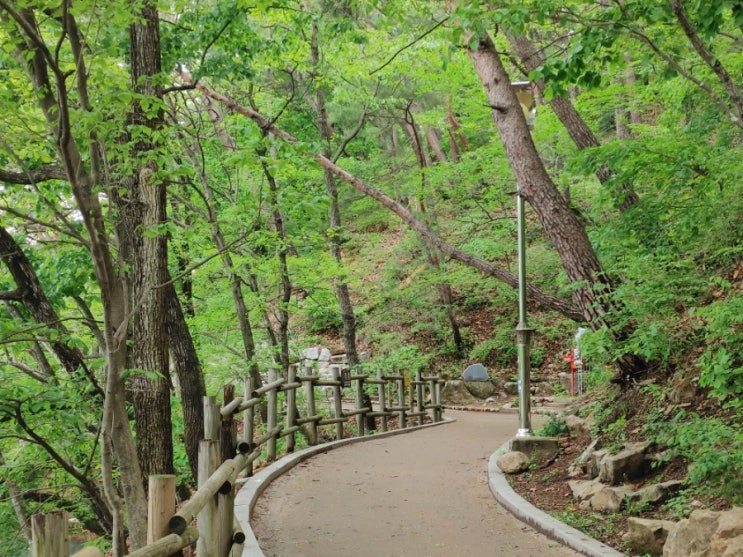  [포천 가볼만한 곳] 산책하기 좋은 산정호수둘레길