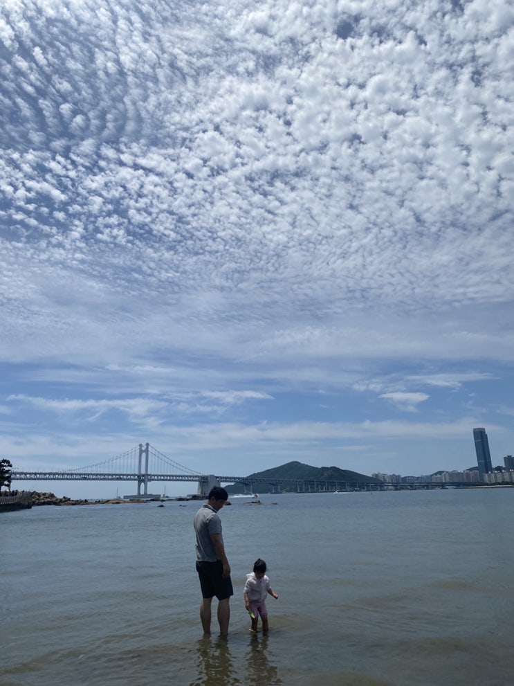  부산 광안리 조개잡이 도~~전(feat. 샤워가능한 광안리 주차장과 광안리맛집 서울반점)
