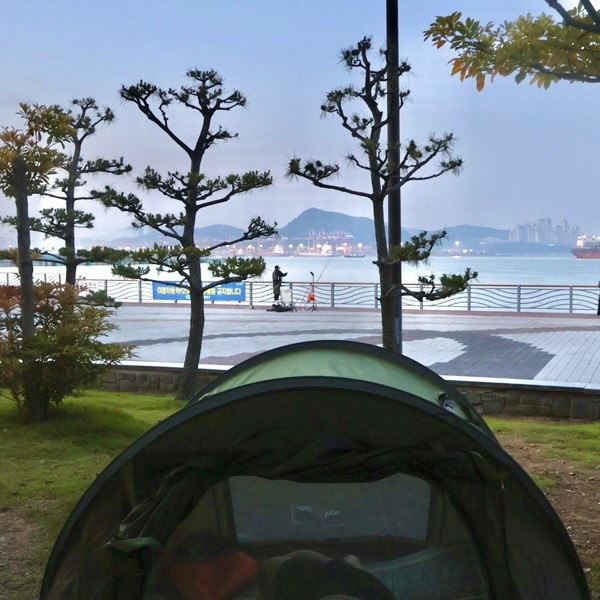 부산피크닉 텐트가능한곳 바다가 보이는 영도아미르공원 (ft.영도해양박물관 아쿠아리움)