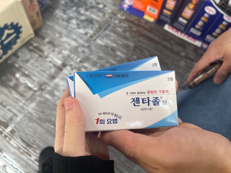 오랜만에 회충약 구충제 먹기