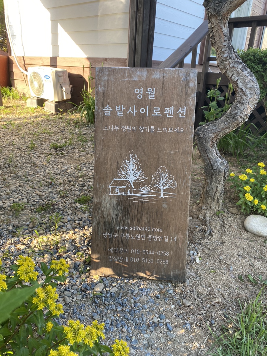 솔밭사이로 캠핑&펜션 사진 2