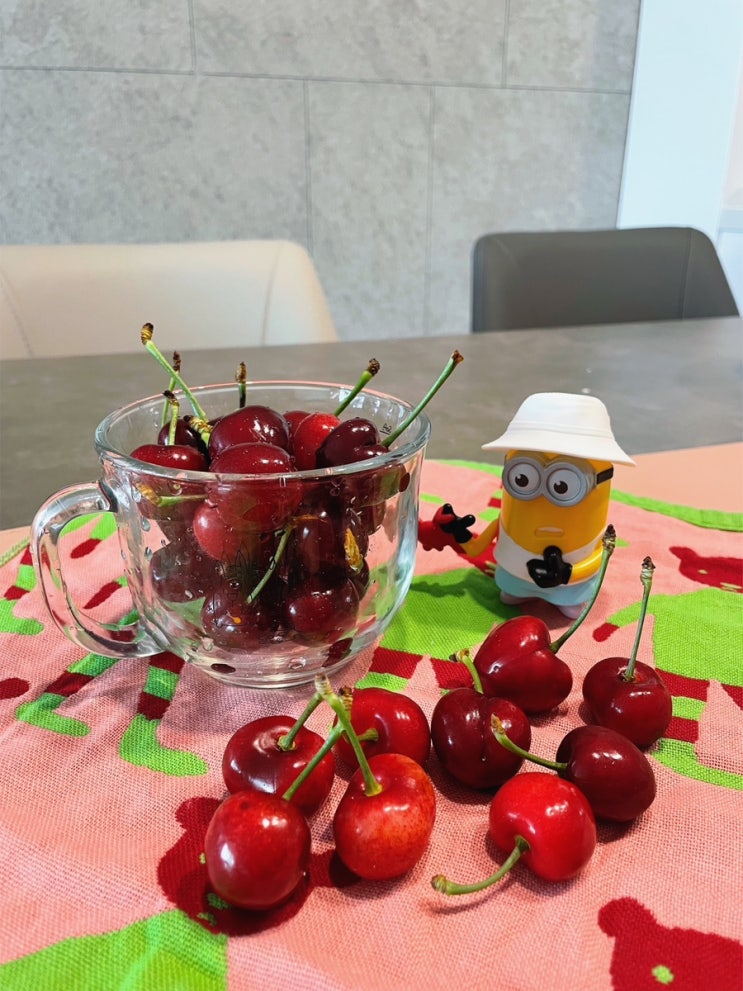  림스체리:) 충남예산 국산 체리, 산지직송 체리따기 어린이 농장체험 가능️