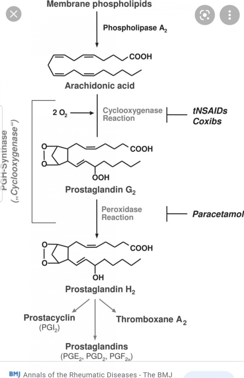 19) 대한민국특허청(KR) (12) 등록특허공보(B1), image size:800x1236