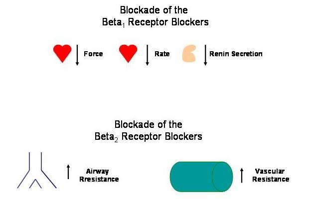 베타차단제(Beta blocker) 혈압약3-1탄 : 네이버 블로그