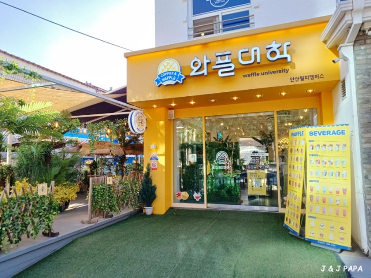 안산시 상록구 디저트 분위기 맛집 와플대학 안산월피캠퍼스 후기 안산시 상록구 디저트 분위기 맛집 와플대학 안산월피캠퍼스 후기