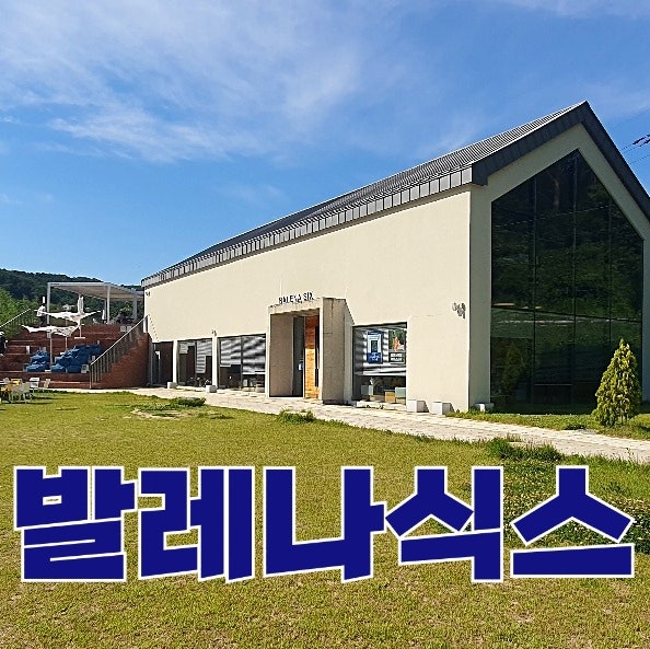  울산 근교 카페 : 발레나식스 (BALENA SIX)