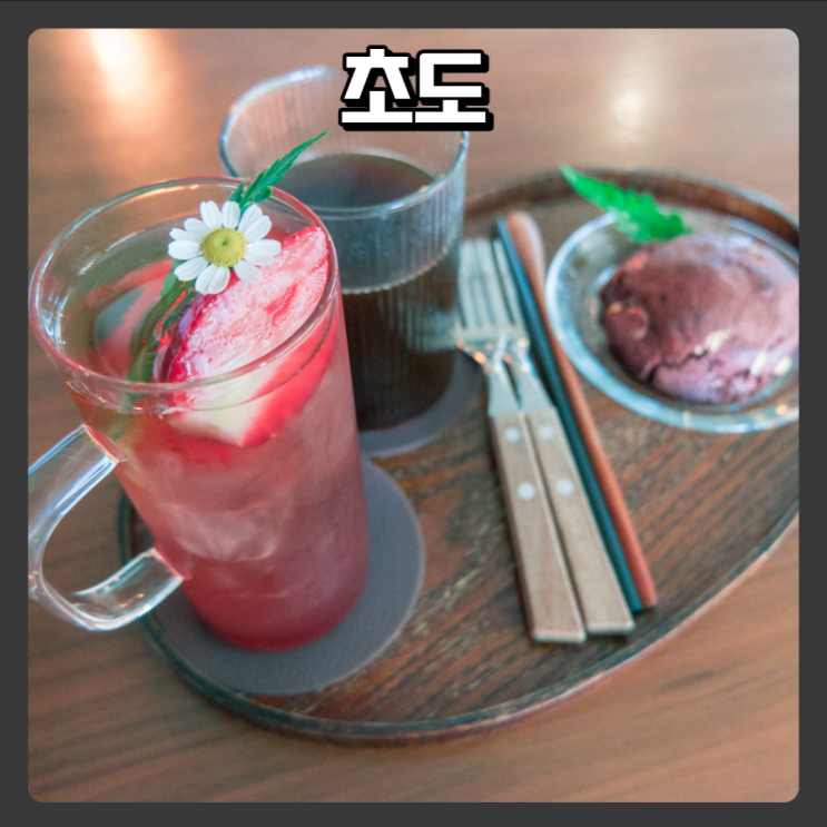  고양이가 있는 조용한 대전 신상카페 - 초도