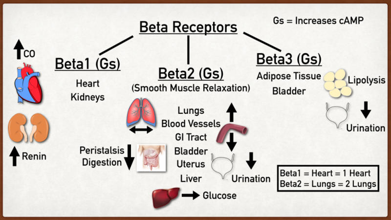 베타차단제(Beta blocker) 혈압약3-1탄 : 네이버 블로그