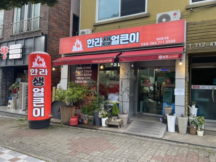  한라생얼큰이 : 제주맛집, 닭날개 맛집