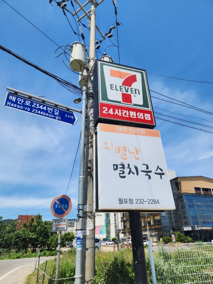  포항 : 오별난멸치국수 l 월포해수욕장 음식점