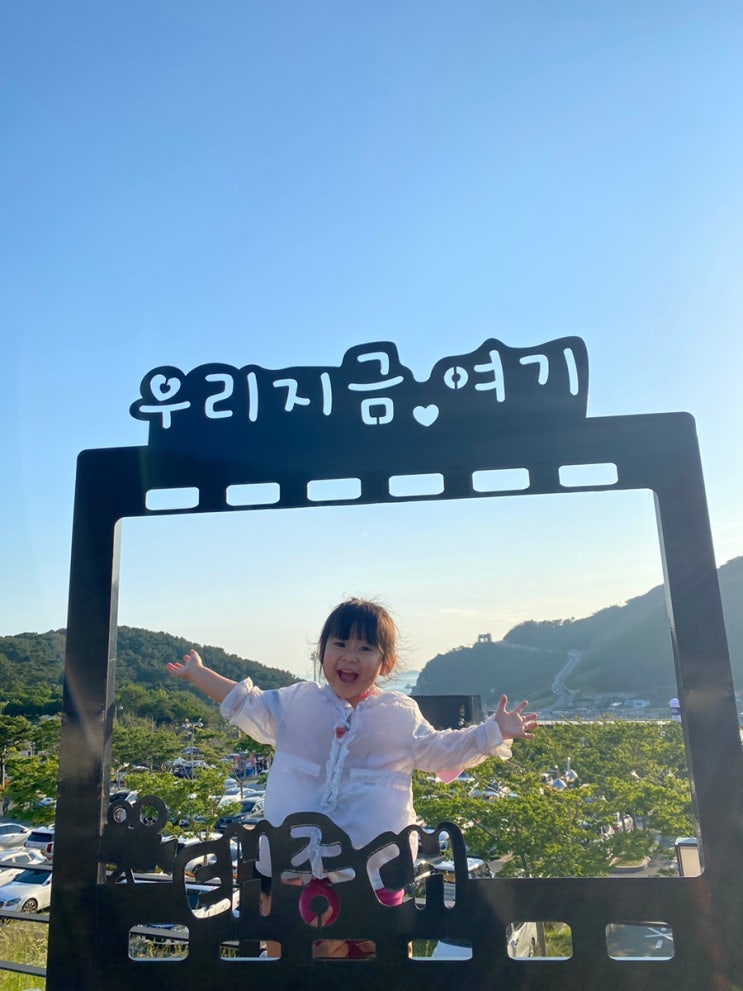  6월 부산에 가볼만한 곳 추천- 태종대 (feat. 수국축제, 다누비열차, 태종대 자동차극장)