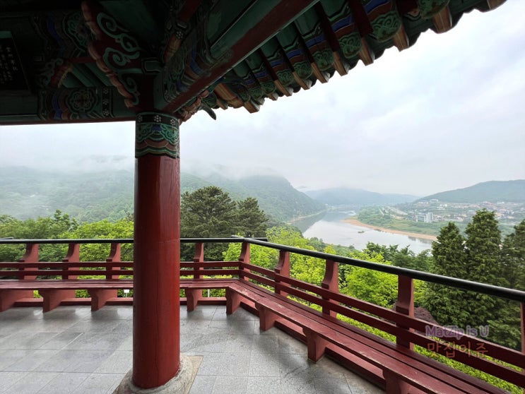  세종시 가볼만한곳 금강수목원 등산길 3시간 매봉 등산로 후기