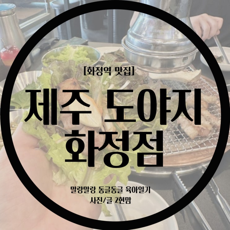  [화정역 맛집] 제주 도야지 / 화정 삼겹살 / 화정맛집 / 화정역 맛집추천 / 흑돼지 / 삼겹살오겹살