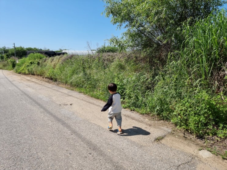 집에 있기 아쉬운 오전엔 두 돌 아기와 계양천 산책