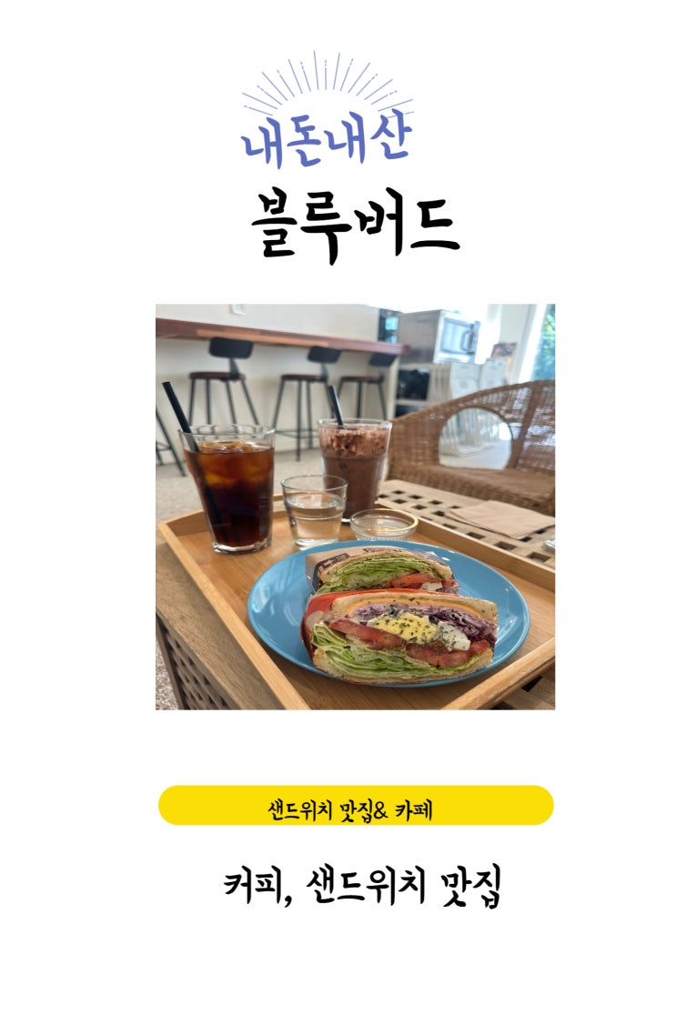  서울대입구역 근처 조용한 애견동반 관악구 성현동 카페 [블루버드]