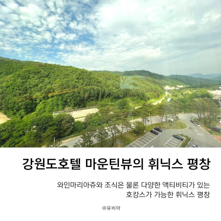  호캉스추천 하고 싶은 강원도호텔 휘닉스평창의 와인블라썸 패키지