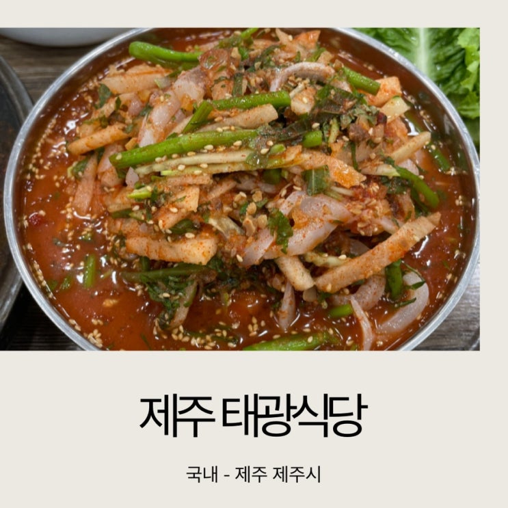  [아이와 제주도] 태광식당 / 제주 로컬 맛집 / 한치물회 /한치주물럭