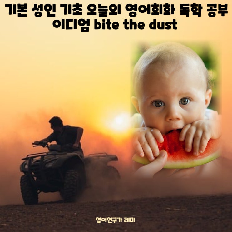 기본 성인 기초 오늘의 영어회화 독학 공부 이디엄 bite the dust 기본 성인 기초 오늘의 영어회화 독학 공부 이디엄 bite the dust