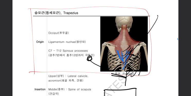  < 칠곡 헬스장 / 칠곡 PT > PT 잘 받고 졸업하는 방법