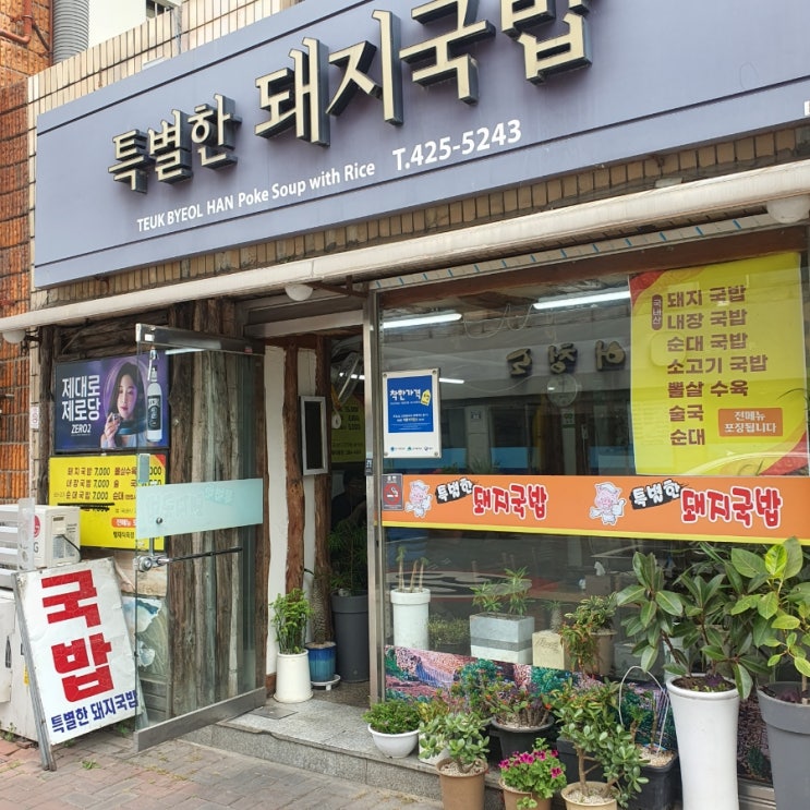 [점심] 삼덕동 경대병원 / 특별한 돼지국밥 / 돼지 순대 내장 수육 술국 맛집