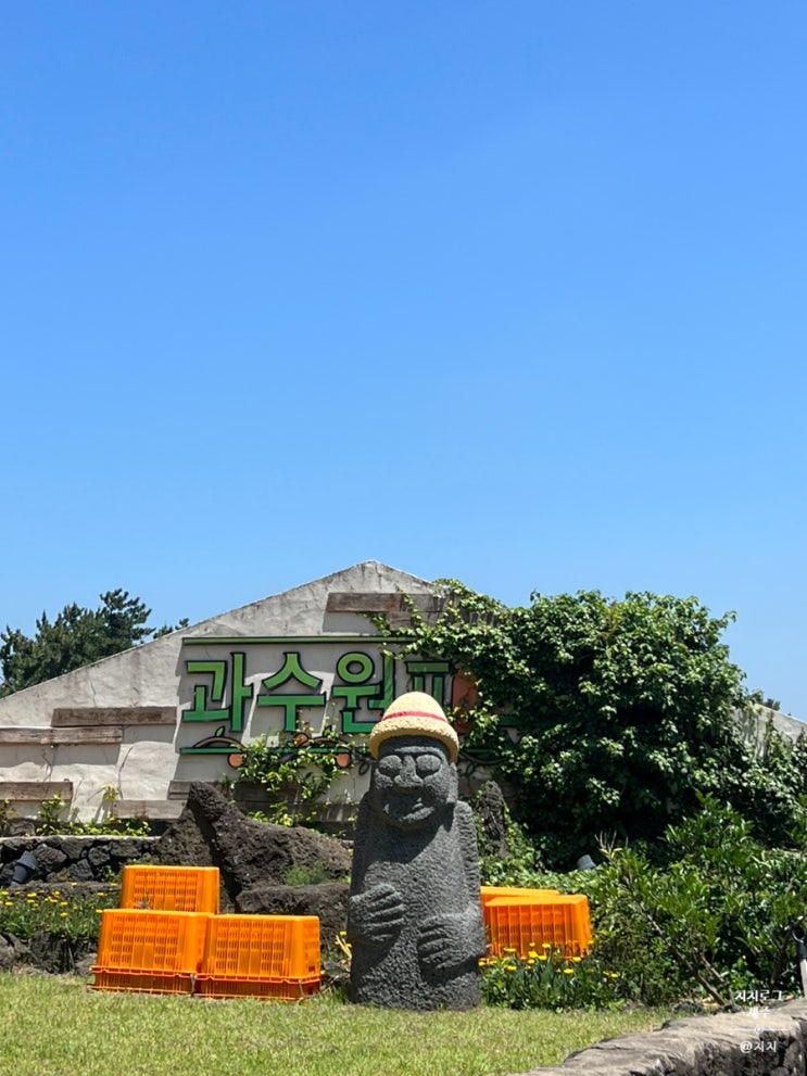  [제주/한림] 가족들과 다함께 오메기떡 만들기 체험! 제주오메기떡체험 과수원피스