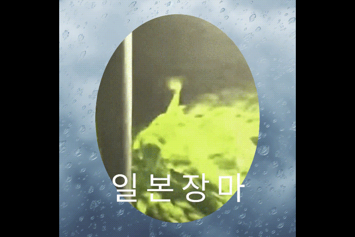 2023 일본 장마기간 시작 한국 올해 장마시작 기간은?