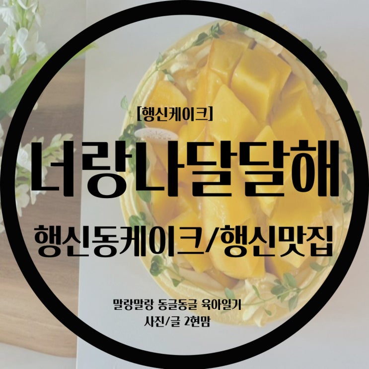  [행신맛집] 행신동맛집 / 행신케이크 / 너랑나달달해 망고케이크 / 과일케이크