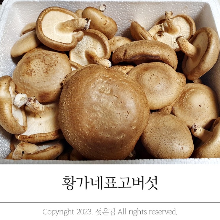 표고버섯 냉장 냉동 보관 황가네표고버섯