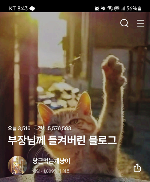 어그로 없이 오늘은 블로그 유입이 좀 되는군요 어그로 없이 오늘은 블로그 유입이 좀 되는군요