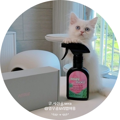  피모 보습과 탈취에 도움 되는 펫트루 고양이 강아지미스트 (f.보습제)