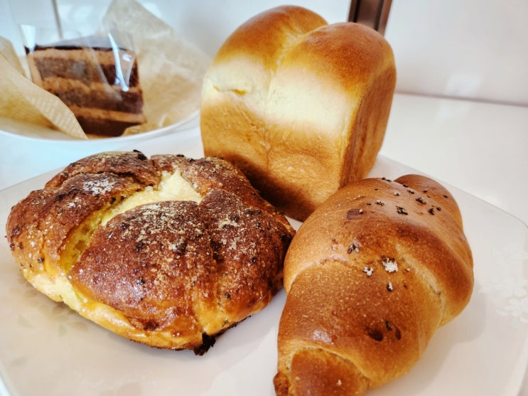  평택 유기농 빵집, 라니베이커리 비전동 소사벌 다양한 식빵 맛집 디저트 후기