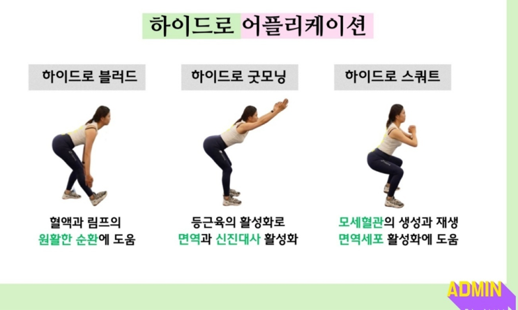  대사질환 관리방법