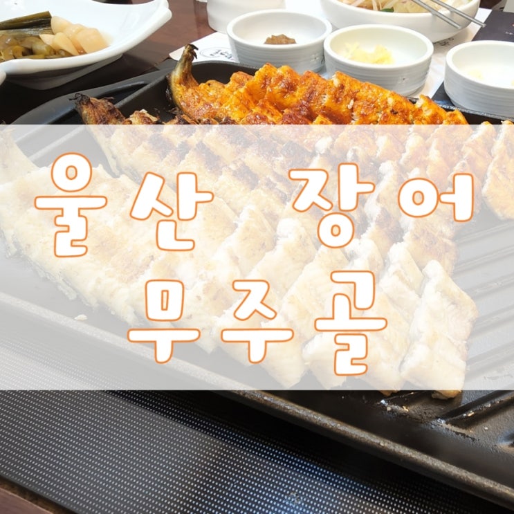  울산 우정동 혁신도시 장어맛집 무주골