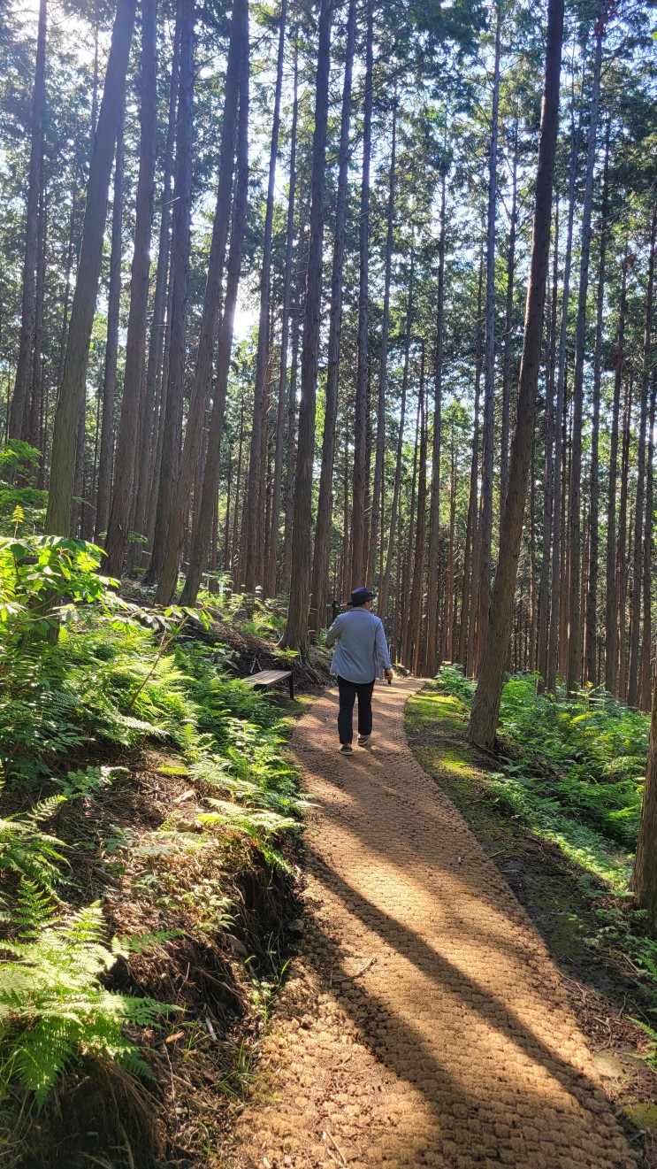 [남동해17] 사천시 용두공원 삼천포대교 공원 사천케이블카 자연휴양림 실안낙조