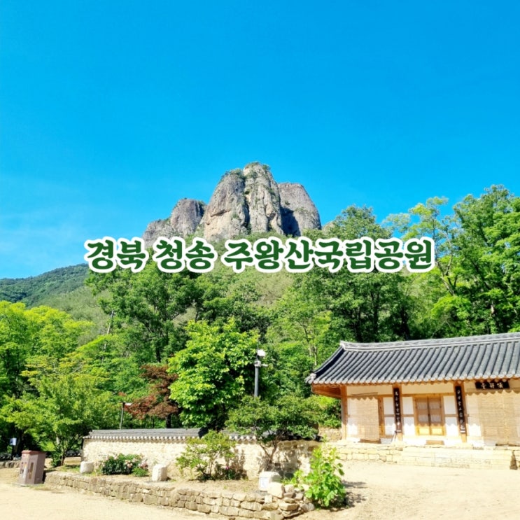  경북 청송가볼만한곳 주왕산국립공원 feat 대전사