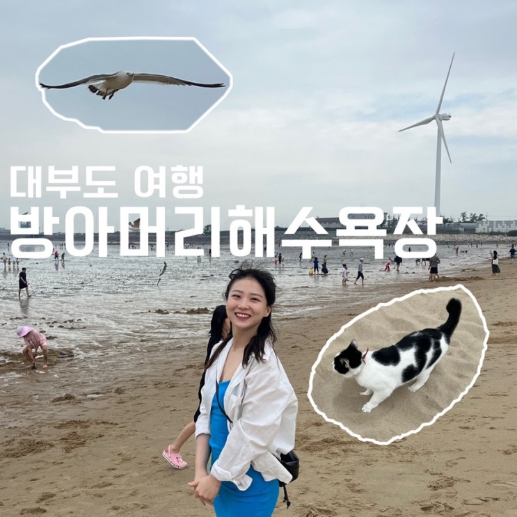  [안산_대부도] 방아머리해수욕장, 드봉 카페 그리고 고양이 … 물 때를 알고 가자!
