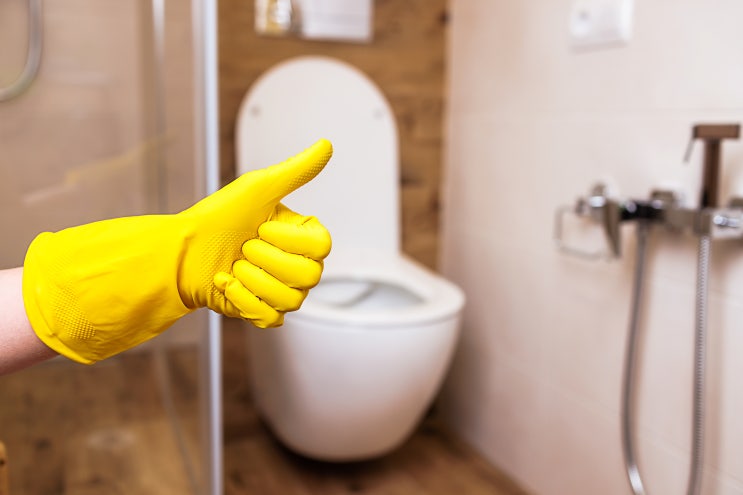 곰팡이 벽지 제거, 화장실 변기 곰팡이 관리 방법은?