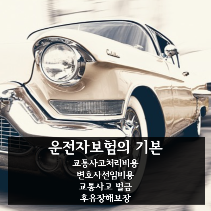 베스트 드라이버도 가입하는 운전자보험의 기본 특약 설명 및 가입요령