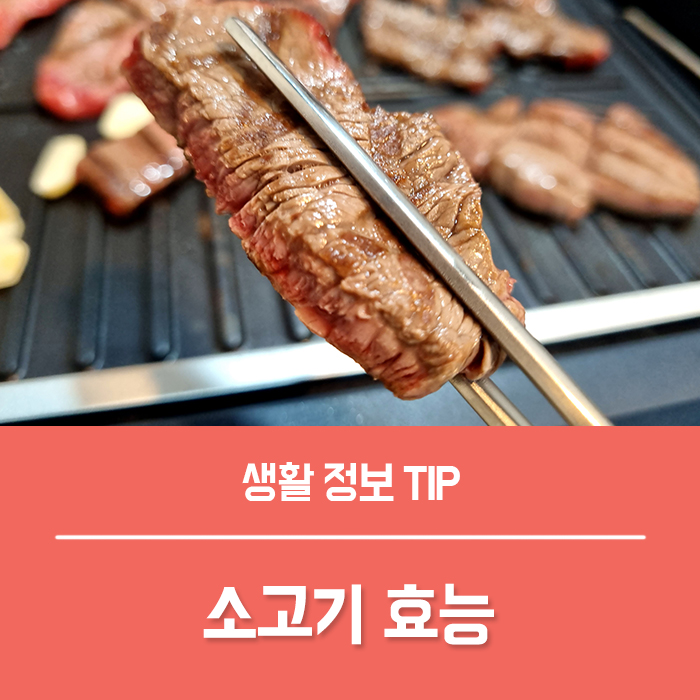  고단백질 음식 소고기 효능 4가지, 부작용 소고기로 근육량 늘리기!