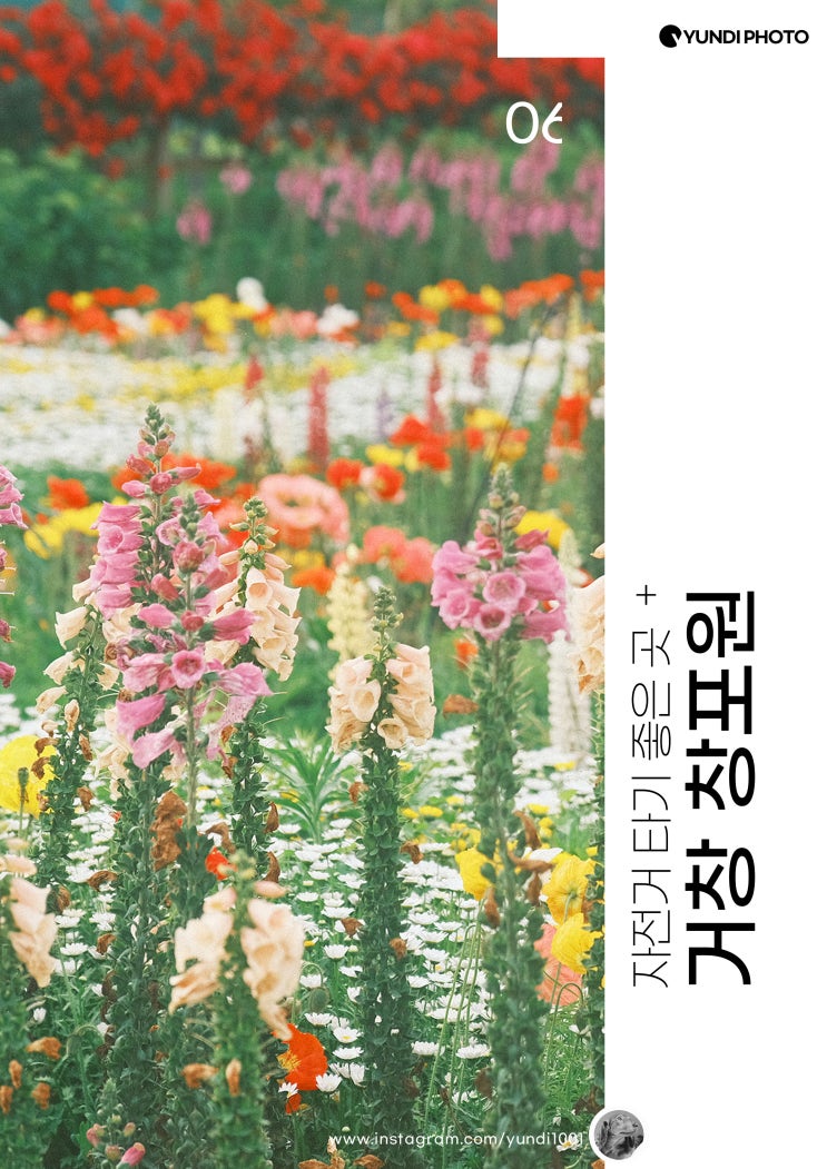거창가볼만한곳 거창 창포원 거창가볼만한곳 거창 창포원