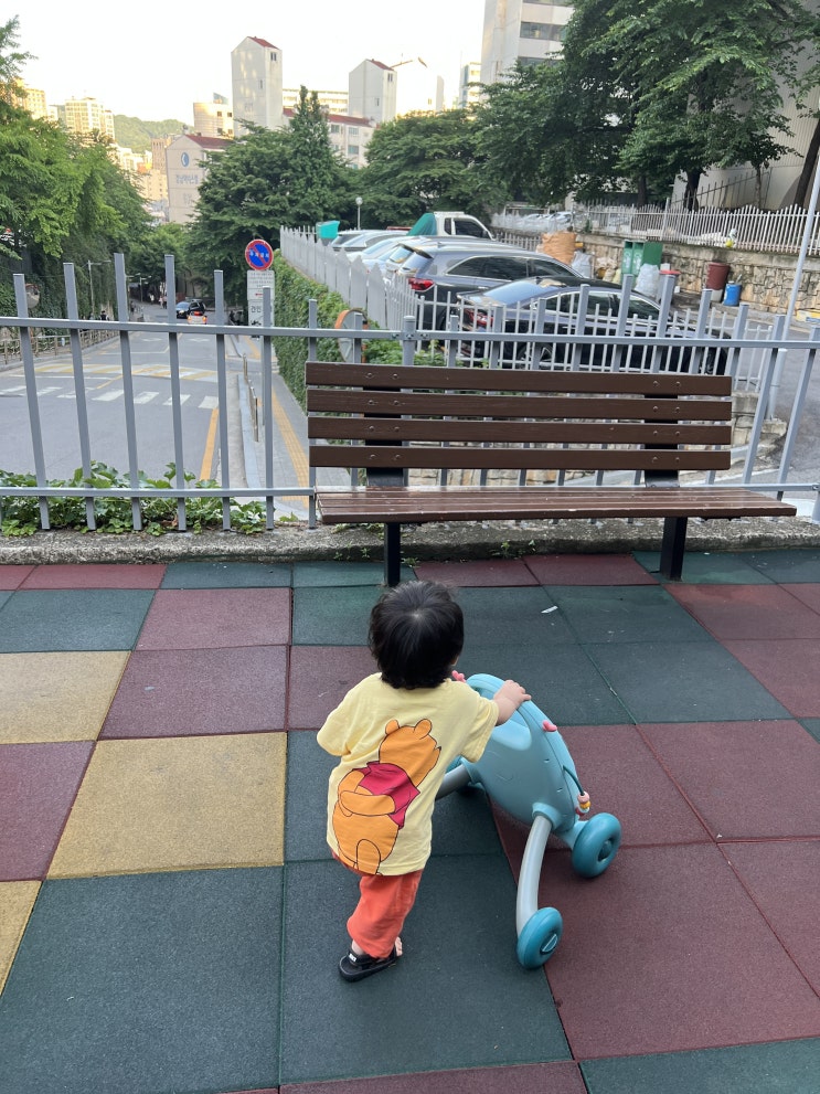  블루래빗 걸음마 보조기 아이큐베이비 워커 / 걸음마 연습