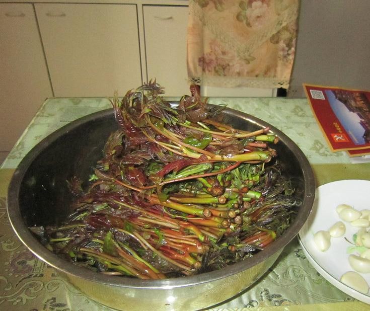 매콤한 밥도둑 고추 짜박이만드는 법!!, 두부두루치기,잔멸치볶음,만능칠게장, 겉절이양념,